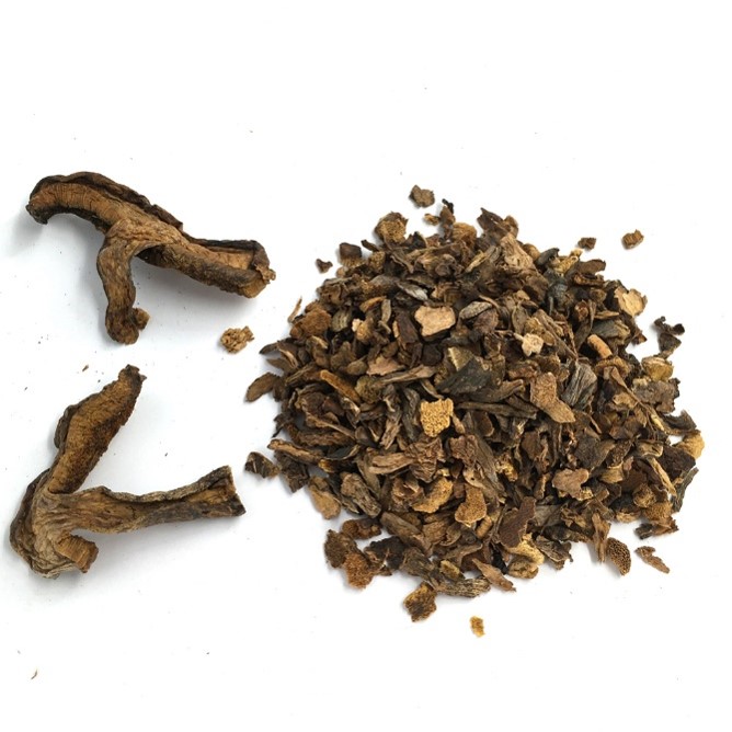 Dried bolete mushroom granules.jpg